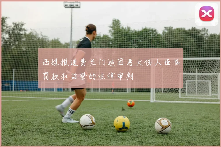 西媒报道费兰门迪因恶犬伤人面临罚款和监禁的法律审判