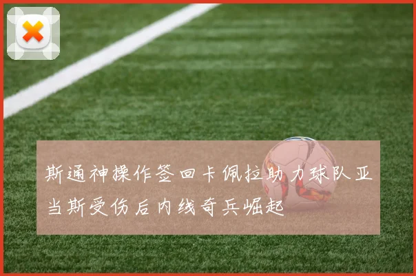 斯通神操作签回卡佩拉助力球队亚当斯受伤后内线奇兵崛起
